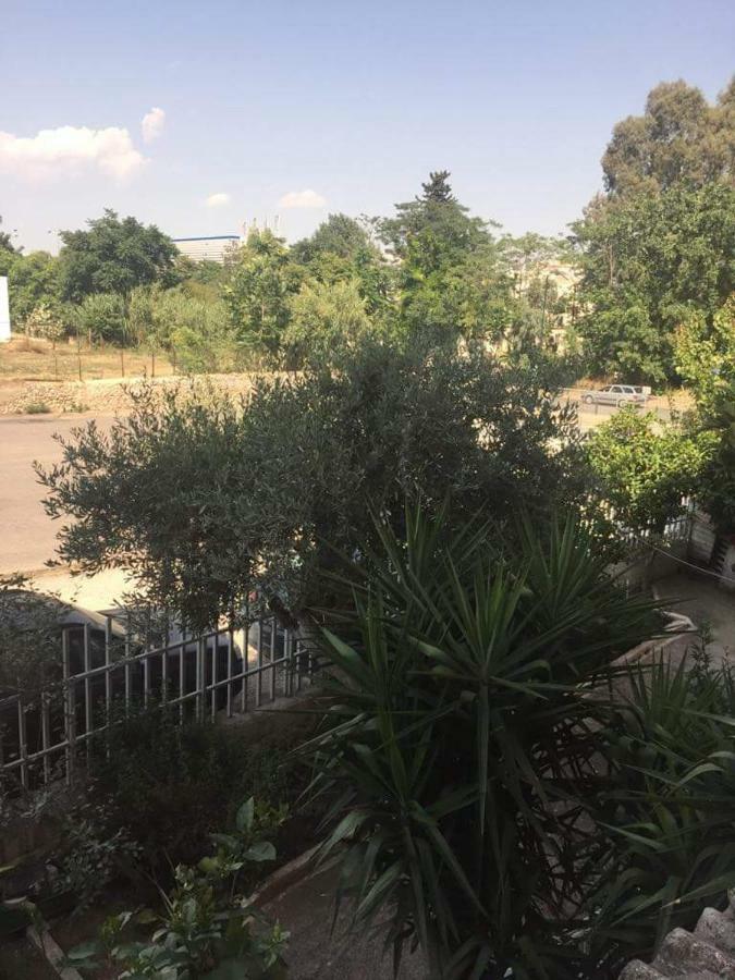 Cozy Apartment Near Metro Station Agia Marina Athen Eksteriør billede